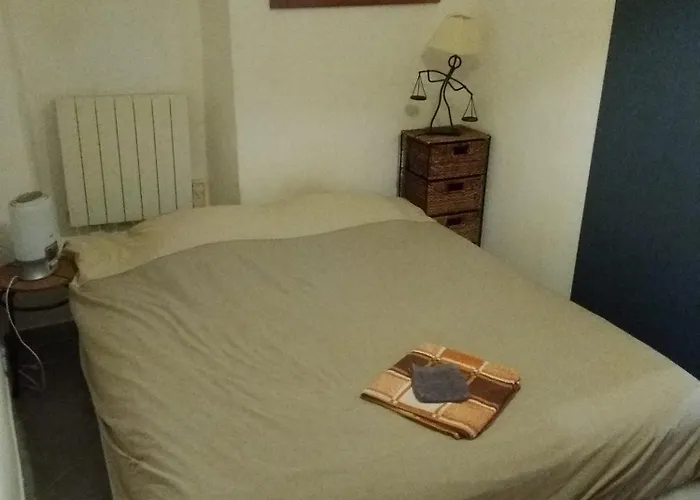 Appartement 2 Pieces Centre Ville